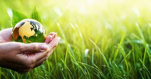 Image éco-responsable Écoboutique